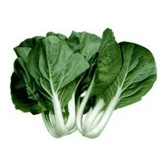 Cabbage Pak Choi White Stem Great Heirloom Vegetable by Seed Kingdom Bulk 1 Lb Seeds
