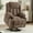 Coffee, variant on Power Lift Recliner Chair for Elderly with Massage and Heat, Recliner Chairs for Adults, Upgraded Fabric Reclining Chair with USB & Type-C Ports and Cup Holders (Dark Grey)