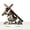 🔥 B_New, variant on KITTEHIGM Finely Detailed Gracefully Wrap Around Decorative Accent Artistic Home Ornament Unique Sculpture for Table Shelf or Special Display Elegant Artistic Room Decor