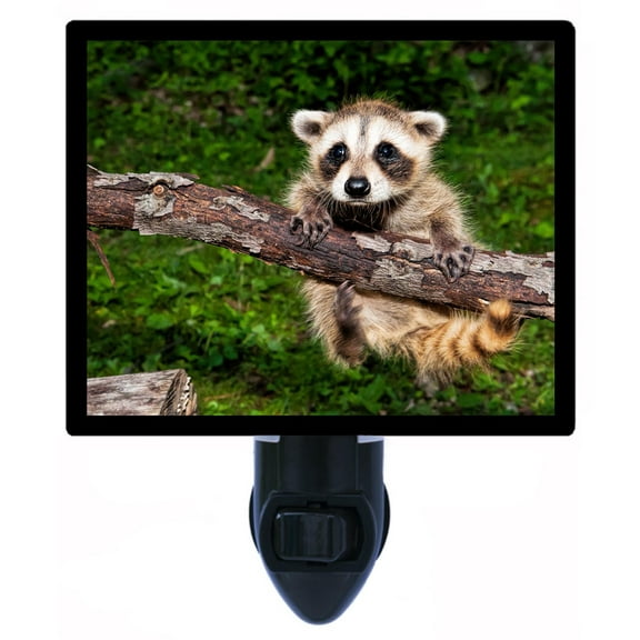 Night Light - Night Light Plus Extra Free Switchable Insert. 4 Watt Bulb, E12 Base. Baby Raccoon.