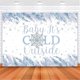 thumbnail image 1 of Decoraciones para baby shower "Hace frío afuera", telón de fondo con copos de nieve y pancarta de fiesta de baby shower de invierno para niños, color azul, 1 of 2
