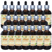 Astragalus (Astragalus membranaceus) Tincture, Organic Dried Root Liquid Extract (Herbal Terra, USA) 20x4 oz