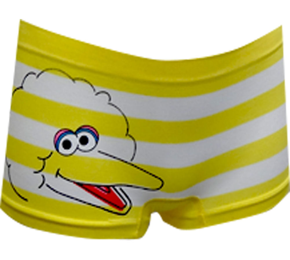 nwt Sesame Street Big Bird Yellow Soft /& Stretchy Striped Boyshorts Panties L