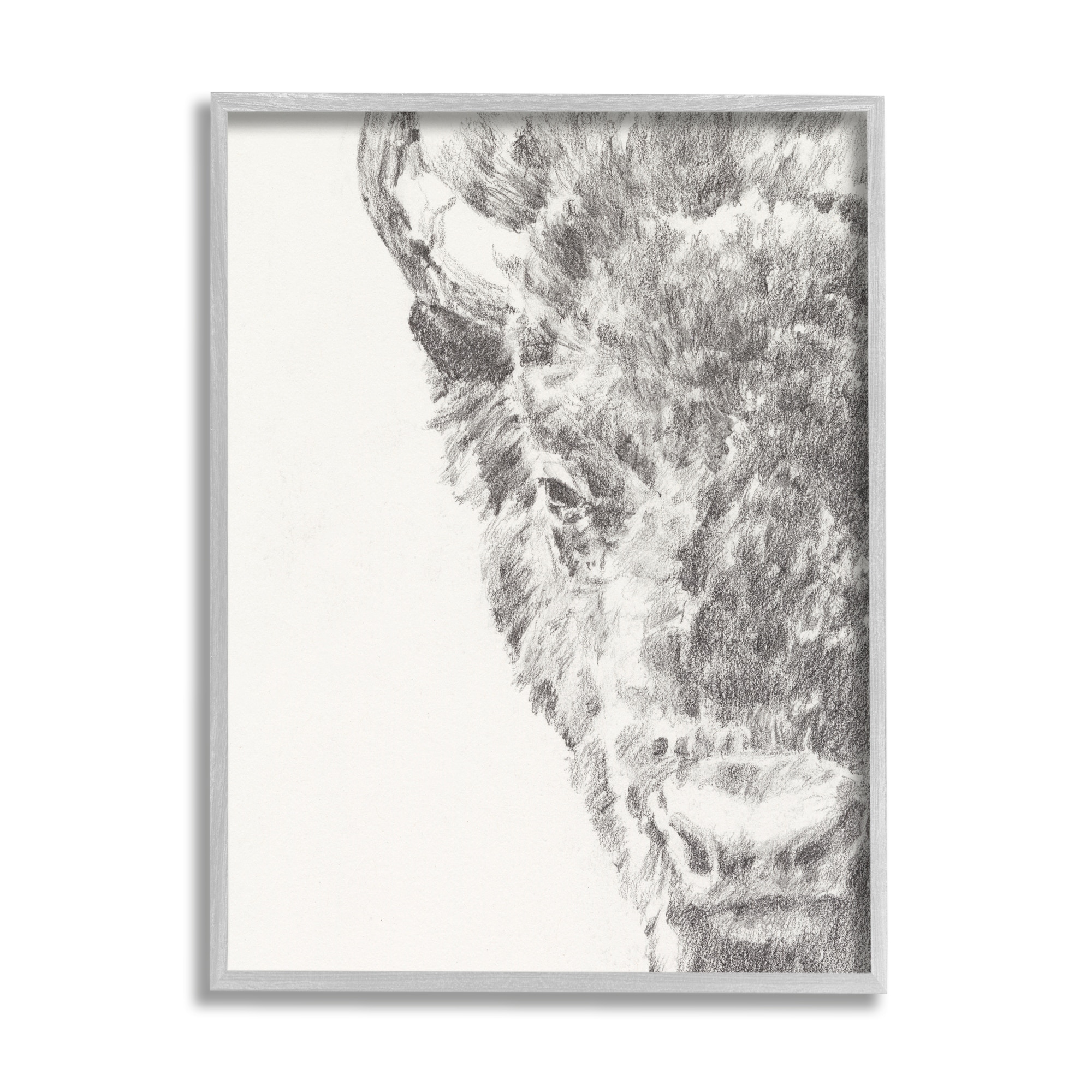 Stupell Industries Detailed Graphite Bison Rural Farm Animal Drawing Drawing Print Gray Framed Art Print Wall Art, Design by Ethan Harper