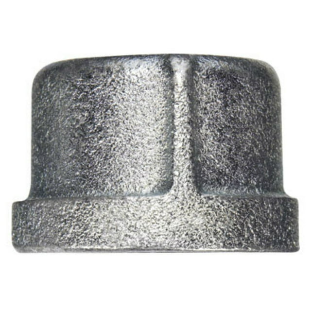 Tapón galvanizado FPT de Anvil International Anvil de 1 pulgada para montaje de tuberías