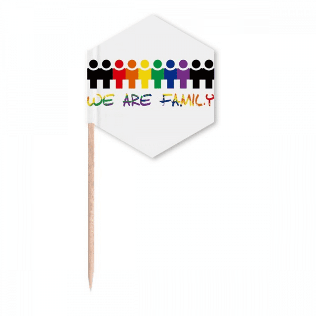 LGBT Rainbow Flag We Are Faly Toothpick Flags Cupcake Picks Party Celebration