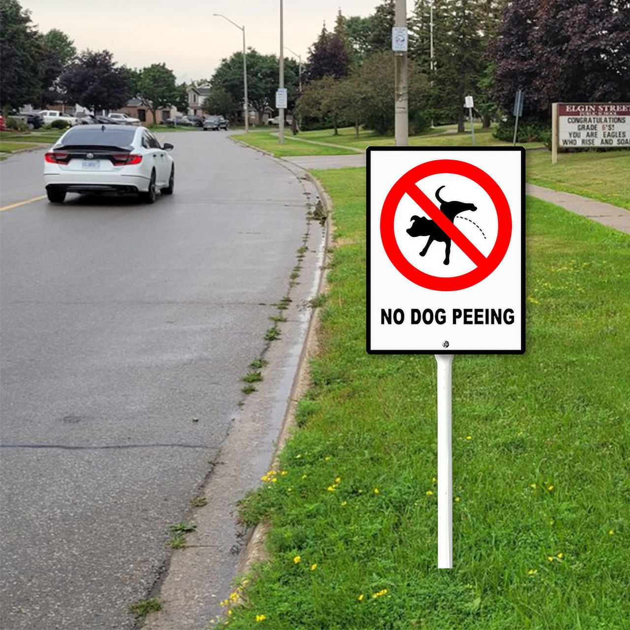 Buy Small Discreet Please Do Not Let Your Dog Pee On The Plants And 1ft Steel Post Mounted To Place In Your Lawn Or Garden