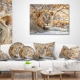 thumbnail image 3 of Designart Solitary Lion Taking Rest in Forest - African Throw Pillow - 18x18, 3 of 4