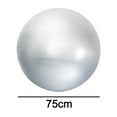 thumbnail image 2 of Exercise Ball, Standard Fitness Ball for Posture, Balance, Yoga, Pilates, Core, & Rehab-grey - 75cm, 2 of 5