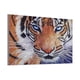thumbnail image 1 of Animal Rhinestone punto de cruz DIY taladro cristal pintura hogar dormitorio adorno imagen de diamante Inevent JJ19165-04, 1 of 6