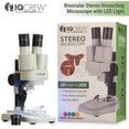 thumbnail image 2 of Microscopio Estéreo Binocular para Niños AmScope 10X-20X con Luz LED, 2 of 7