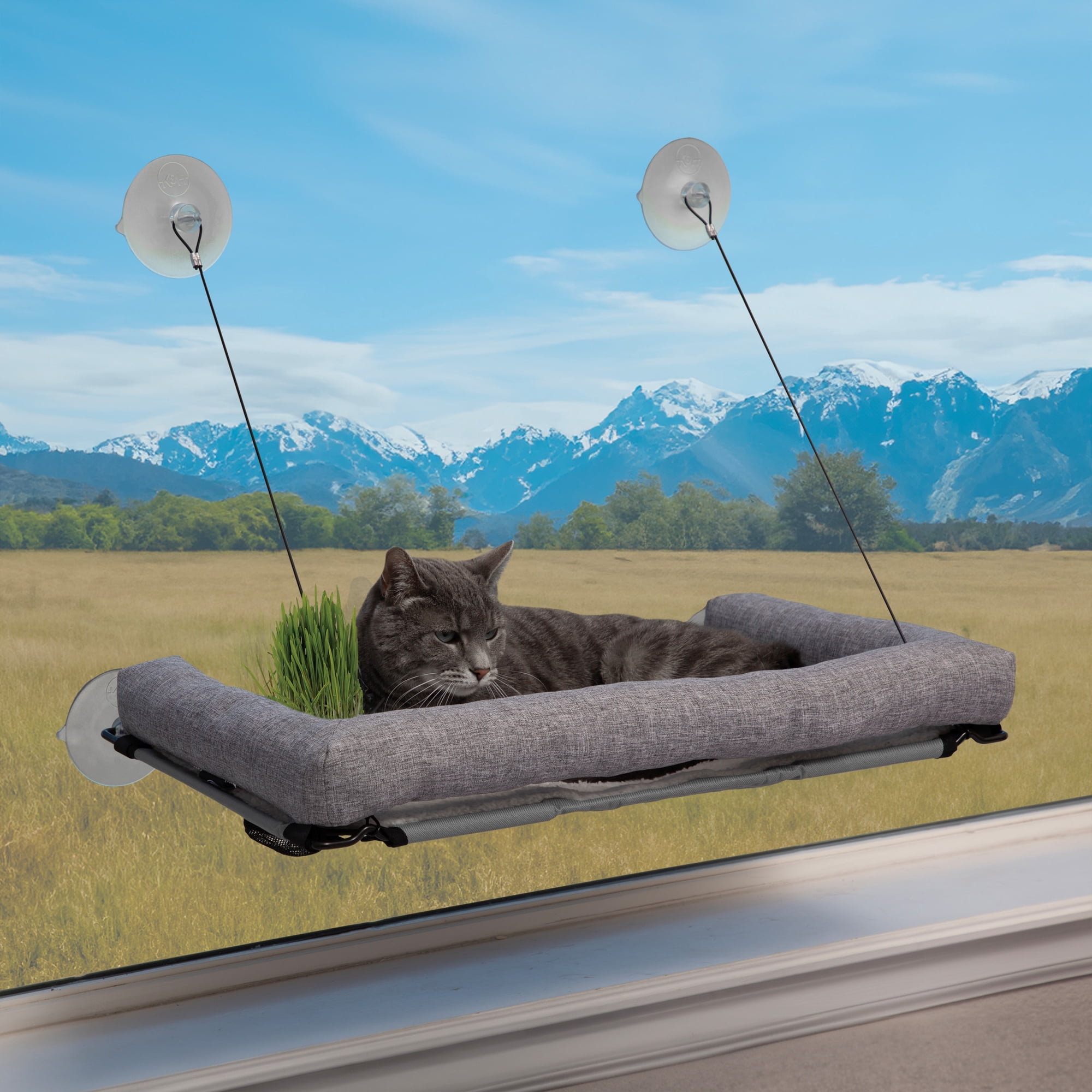 K&H Pet Products EZ Mount Deluxe Bolstered Window Kitty Sill Cat Perch with Cat Grass Grow Station Gray 23 X 12 Inches
