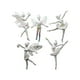 thumbnail image 2 of Adornos colgantes de plástico transparente para árbol de Navidad (5 piezas) | Adornos de ángel de cristal | Set para decorar fiestas y calcetines navideños, 2 of 5