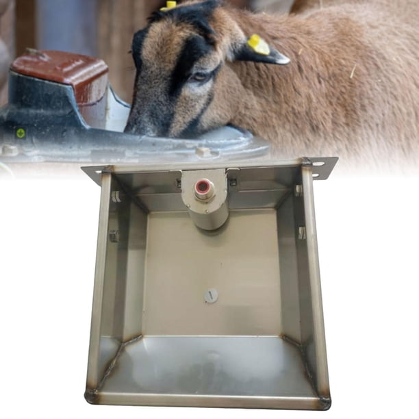 Bebedero automático para ovejas, bebedero para animales, dispensador de agua para ganado de acero inoxidable para perros, caballos y cerdos. Largo 31cmx26cmx9.5cm