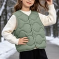 thumbnail image 4 of BLVB Toddler Puffer Vest Boys Girls down Vest Warm Fall Winter Jacket Lightweight Sleeveless Button down Coat for Kids(Green,3-4 Years), 4 of 9