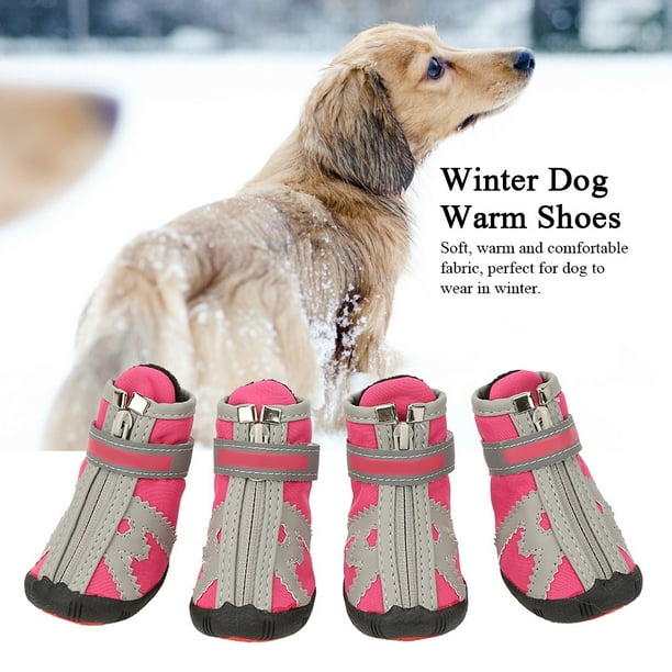 Dog shoes best sale canada