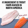 thumbnail image 4 of Beyond Grain Free Trout & Catfish, Wet Cat Food 85g, 4 of 9