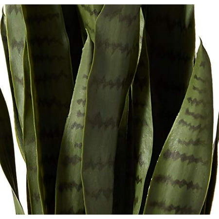 Nearly Natural 4855 Sansevieria Plant with Black Planter ...
