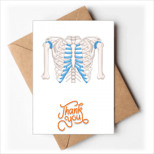 Costilla thoracic ilustración médica Nota en blanco del sobre de la tarjeta de agradecimiento