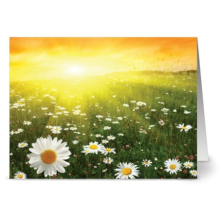 - 24 Summer Note Cards - Sunny Side Up - Blank Cards - Yellow Envelopes Included