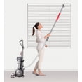 thumbnail image 5 of Dyson Cinetic Big Ball Animal Allergy Bagless Upright Vacuum, 206033-01, 5 of 14