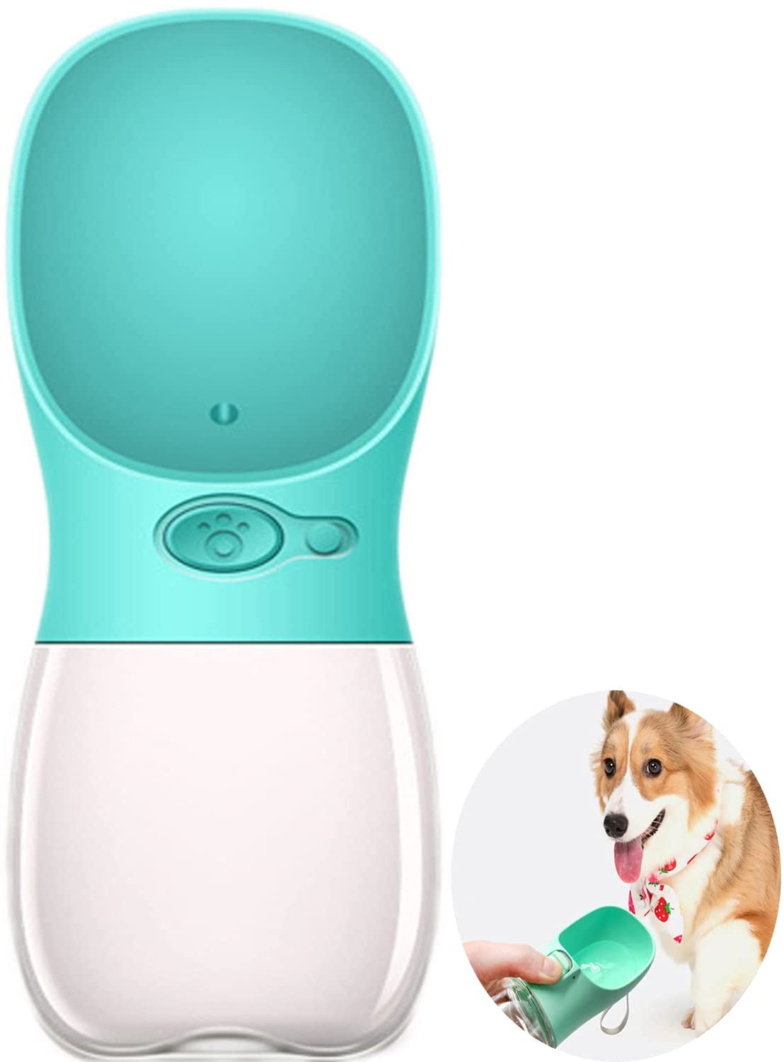 Are Water Bottles Safe For Dogs