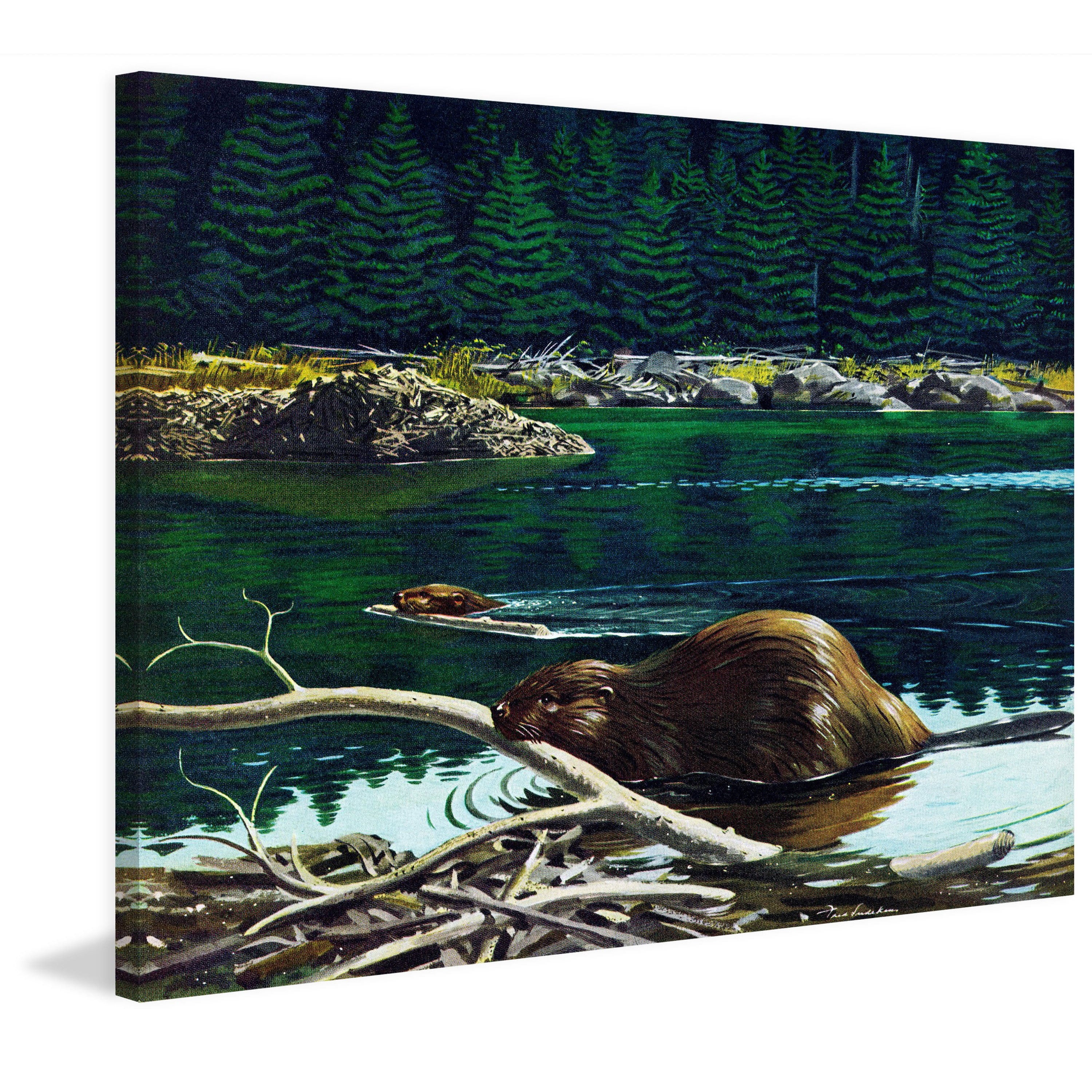 "Lowland Beaver" Painting Print on Wrapped Canvas