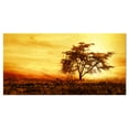 thumbnail image 2 of African Tree Silhouette - Landscape Photo Canvas Art Print, 2 of 3