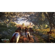 Warner Bros. The Witcher 3: Wild Hunt Video Games - PlayStation 4