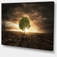 thumbnail image 2 of Design Art - Lonely Tree under Dramatic Sky, 2 of 3
