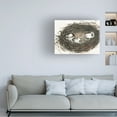 thumbnail image 3 of Samuel Dixon 'Nesting Eggs II' Canvas Art, 3 of 3