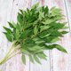thumbnail image 5 of unbranded Plantas Decorativas Artificiales Hojas De Sauce Verde Para Salas Y Paisajismo De Eventos, 5 of 8