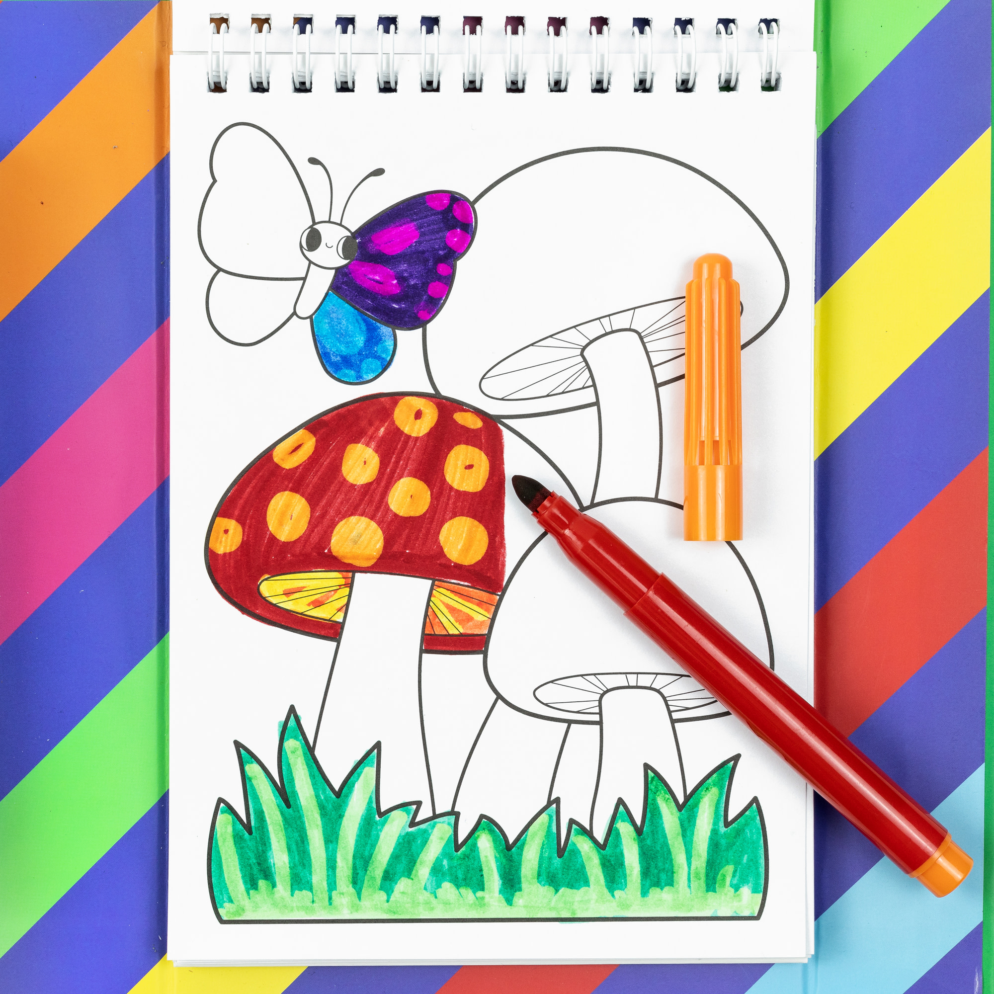 Tiger Tribe Color Change Coloring Set - Garden Friends with Magic Markers for Kids | Rainbow Colors & Creative Play | Portable Activity Kit for Travel & Play