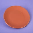 thumbnail image 5 of Juego de 12 Platos Trinche de cerámica Santa Anita 28 cm Color Pompeya, 5 of 5