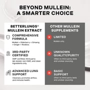 Betterbrand Mullein Drops for Lung Detox - Mullein Leaf Tincture with Chlorophyll - Helps support respiratory health, Alcohol-Free, 1 month supply - 60ml
