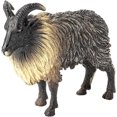 thumbnail image 4 of Figura de oveja del Himalaya simulada, realista, de plástico, animal salvaje, para uso científico y educativo., 4 of 5