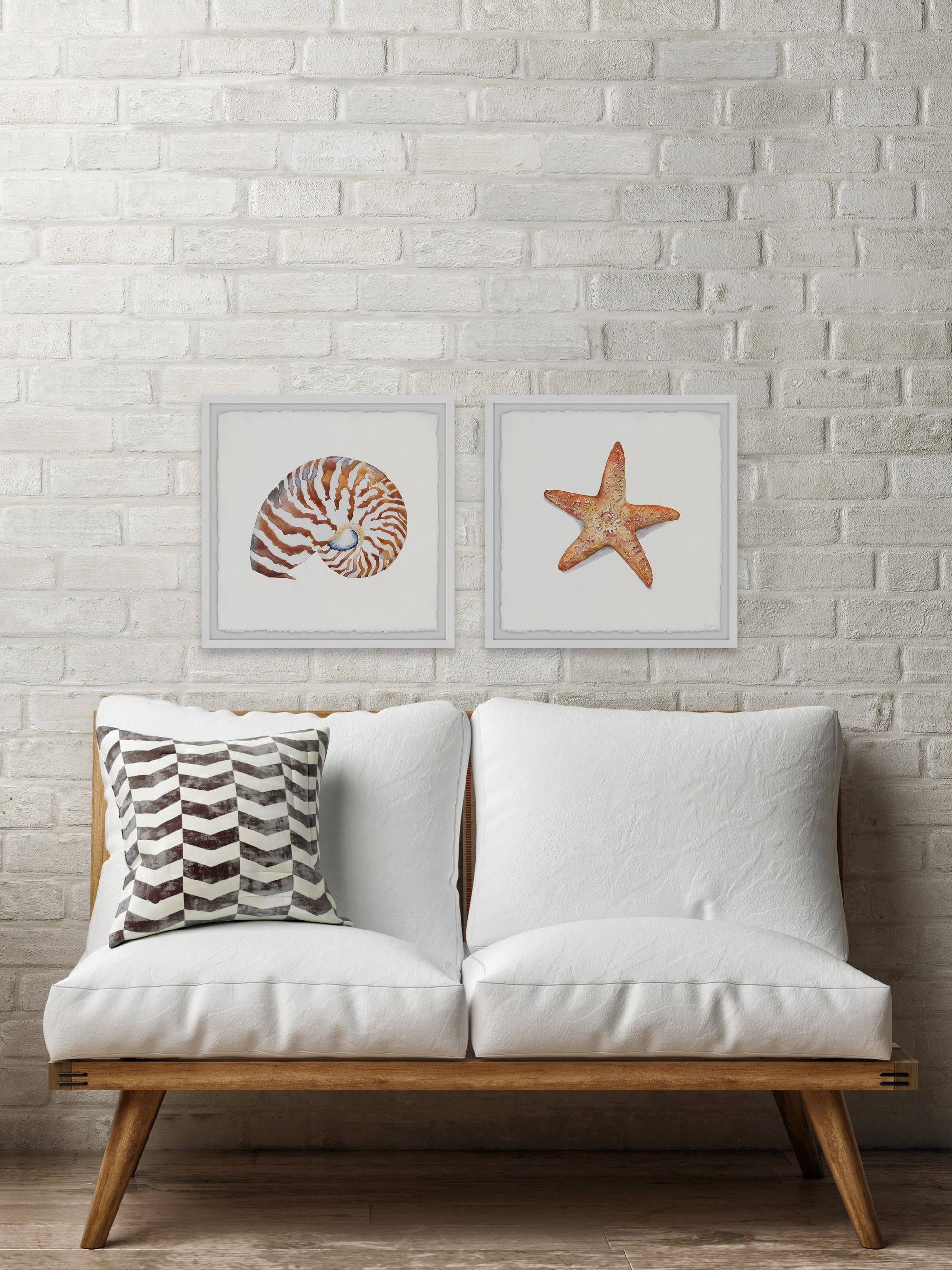 Parvez Taj Starry Shell Diptych
