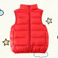 thumbnail image 2 of Lightweight Puffer Jacket Vest Boys Girls Full Zip Sleeveless Stand Collar Warm Quilted Cotton Winter Coat 2-11Y (150, Red), 2 of 7