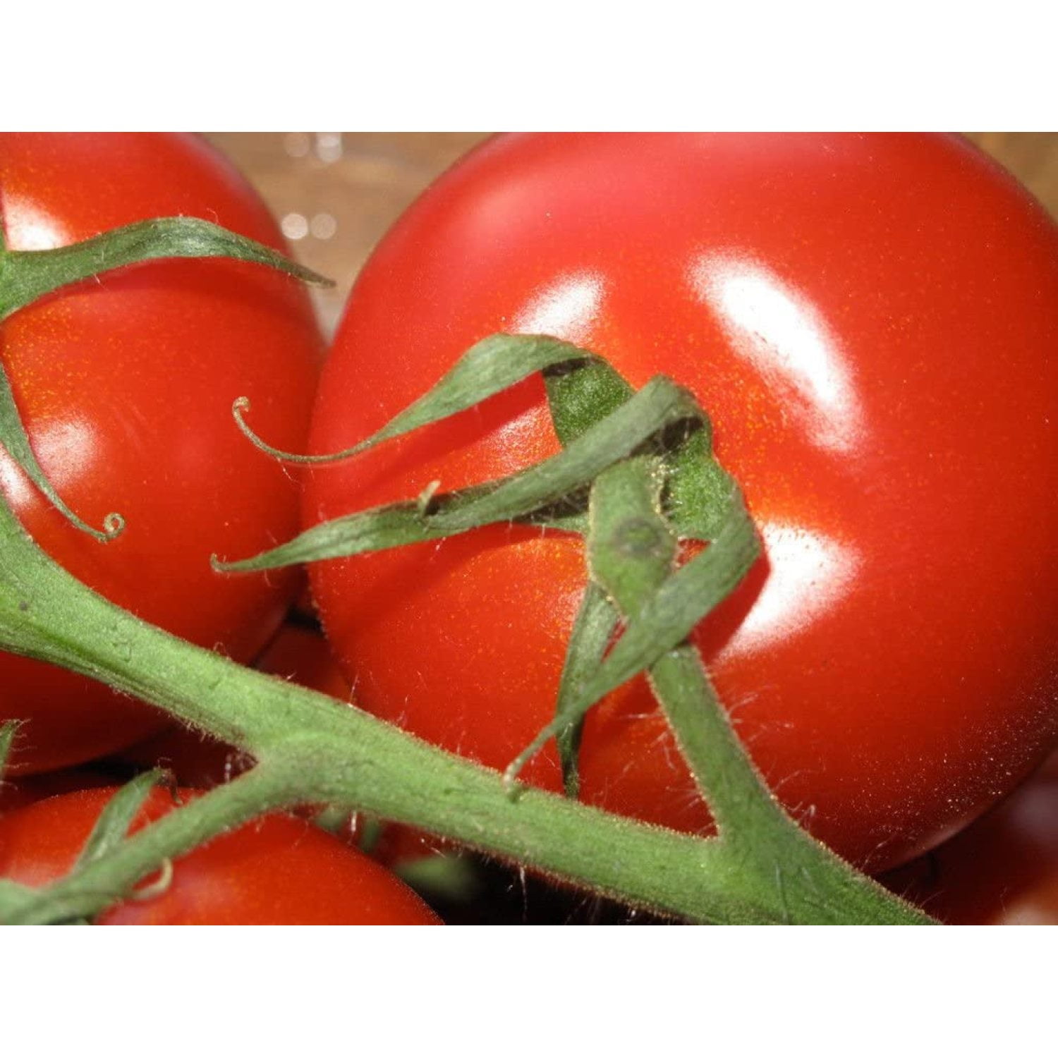 50 Seeds Campari Tomato, Sweet Vine Tomatoes Exotic Fruit Vegetables