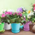 thumbnail image 2 of 8Pack Colorful Small Flowerpot,Seed Starting Pots,QZS Plastic Flower Plant Pots with Drainage and Saucer,Cute Succulent Container,for Indoor Outdoor Home Decor Random Color 5.5", 2 of 7