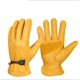 thumbnail image 1 of Guantes Cálidos, Guantes De Ciclismo, Guantes De Carreras, A Prueba De Viento, Transpirables, Guantes Antideslizantes, Guantes De Moto con Revestimiento De Esquí De Carreras, Amarillo M Rojo Verde, 1 of 5