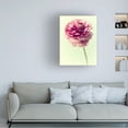 thumbnail image 3 of Judy Stalus 'Lush Botanical II' Canvas Art, 3 of 3