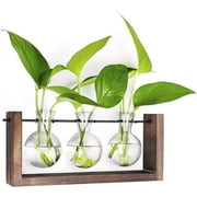 XILONG Desktop Plant Propagation Glass Vase Station Retro Plant Terrarium with Wooden Tray Bulb Flower Vase Container Perfect for Propagating Hydroponic Plants Home Office Decor Plant Lover Gift Idea