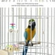 thumbnail image 2 of Columpio para pájaros, juguete para columpio de loros y pájaros, juguetes para loros, juguete para mascotas probado profesionalmente, 2 of 8