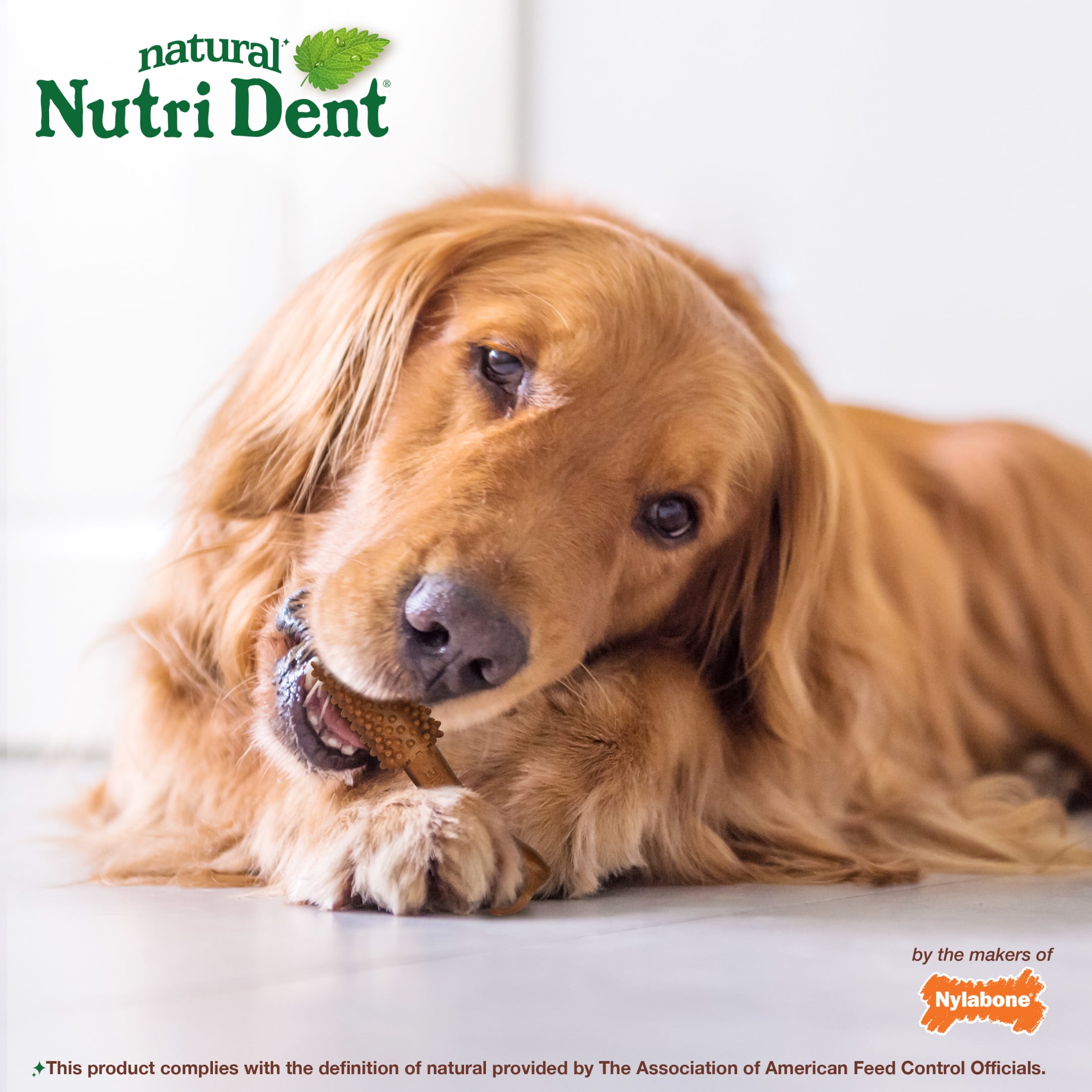 Nylabone Nutri Dent Natural Dental Chews for Dogs, Limited Ingredient Dog Treats, Teeth Cleaning Dental Sticks for Dogs, Filet Mignon Flavor, For Large Dogs (20 Count)