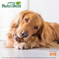 thumbnail image 5 of Nylabone Nutri Dent Filet Mignon Flavored Dental Dog Chew Treats Large (20 Count), 5 of 13
