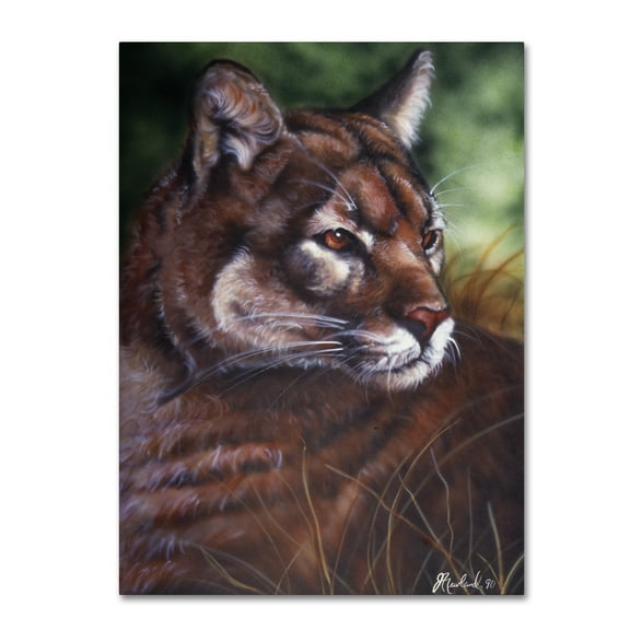 Trademark Fine Art 'Watchful Eyes II' Canvas Art by Jenny Newland