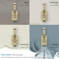 thumbnail image 6 of Amerock Alder Transitional Double Prong Golden Champagne Wall Hook, 6 of 9
