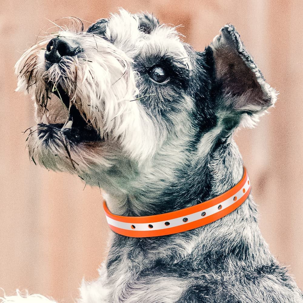 Paipaitek Shock Collar Replacement Strap, Reflective Adjustable Dog Replacement Collars  Straps for remote trainer for dogs Sportdog shock collar Replacement shock collar strap