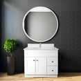 thumbnail image 3 of Design House Brookings 37" x 22" Ready to Assemble 2-Door 2-Drawer Bath Vanity with Cultured Marble Single Hole Top, Sherwin Williams® White/White, 3 of 23